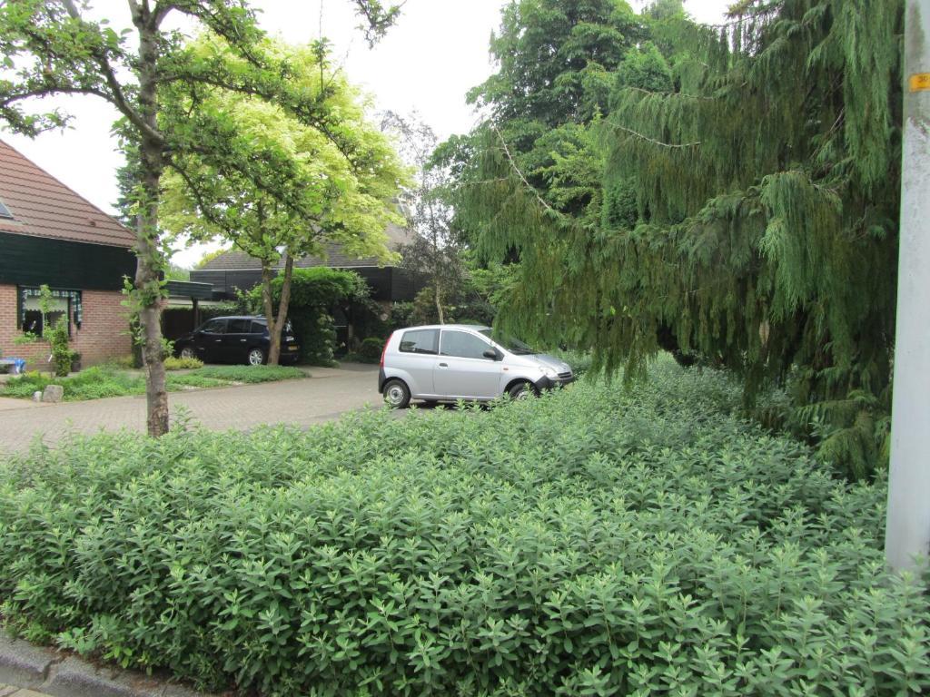 Warnsveld B&B Molenzicht المظهر الخارجي الصورة